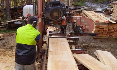 Sawmilling in NZ