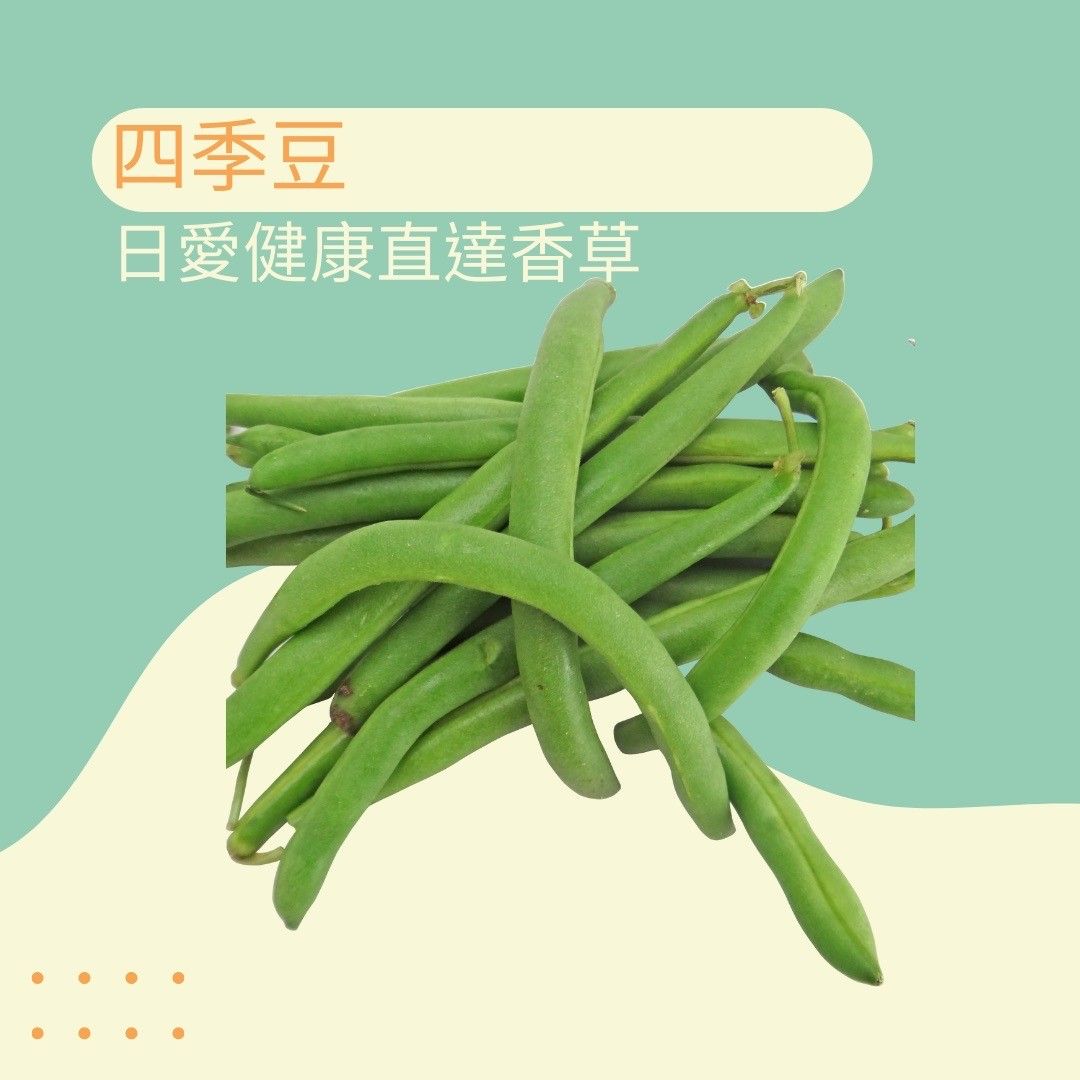 豆類