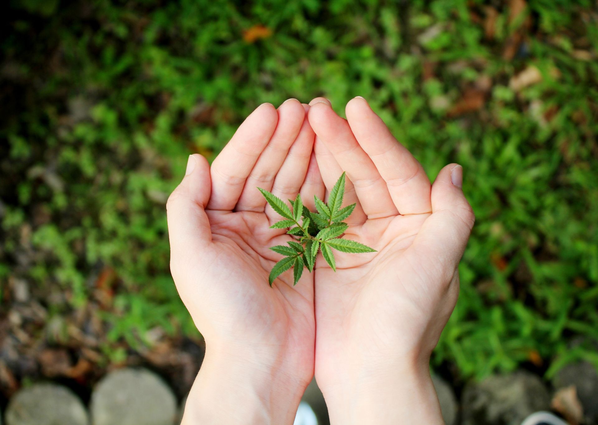 自然力天然香氛系列