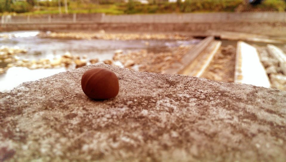 淨覺茶居家潔淨系列