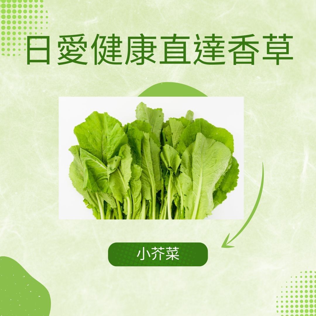 小芥菜300克