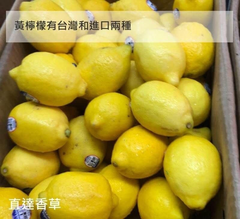 直達香草 新鮮黃萊姆1顆