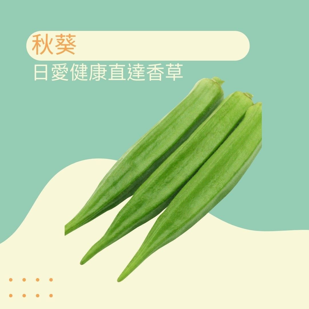 秋葵300克（5月-11月供應）