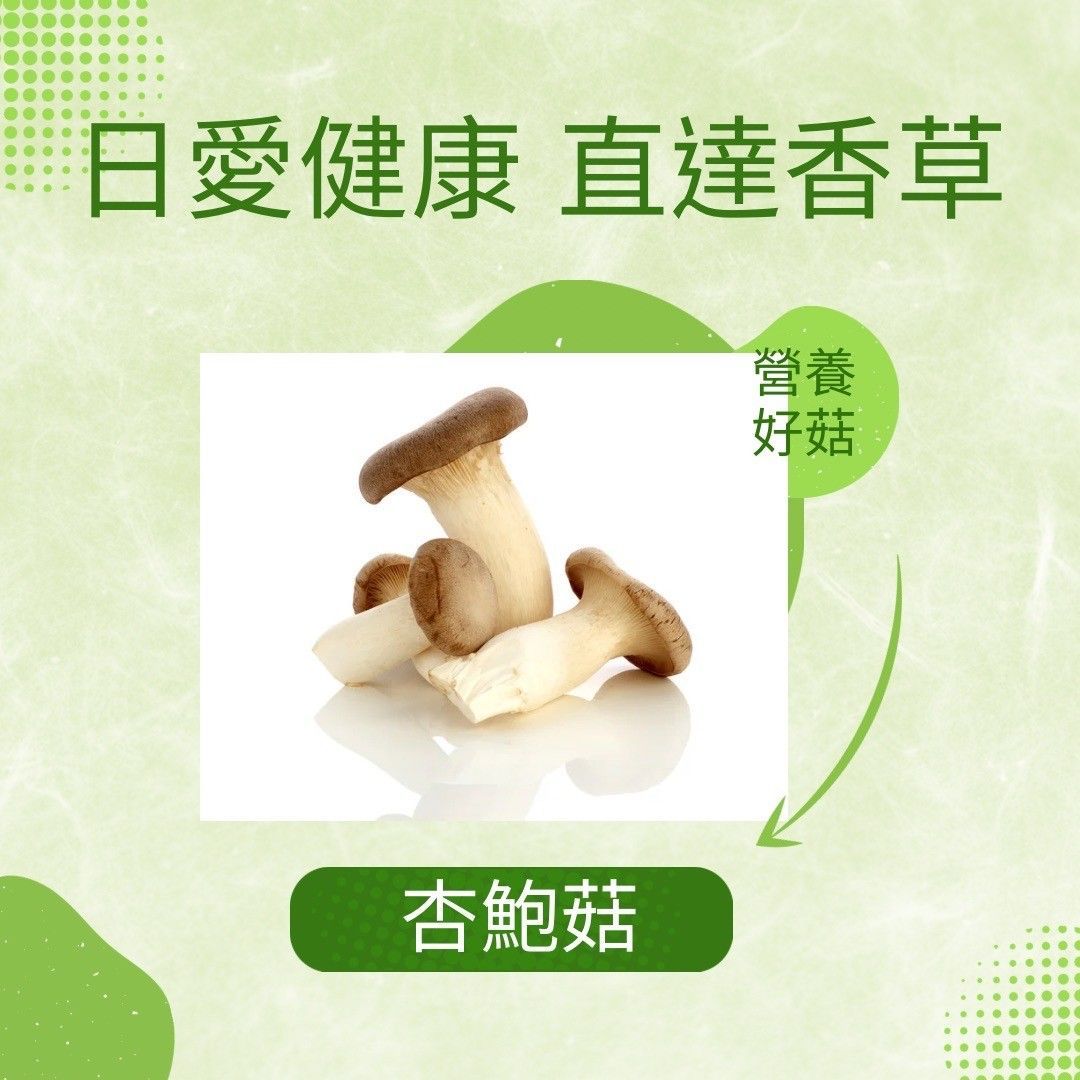 新鮮杏鮑菇 200克一盒