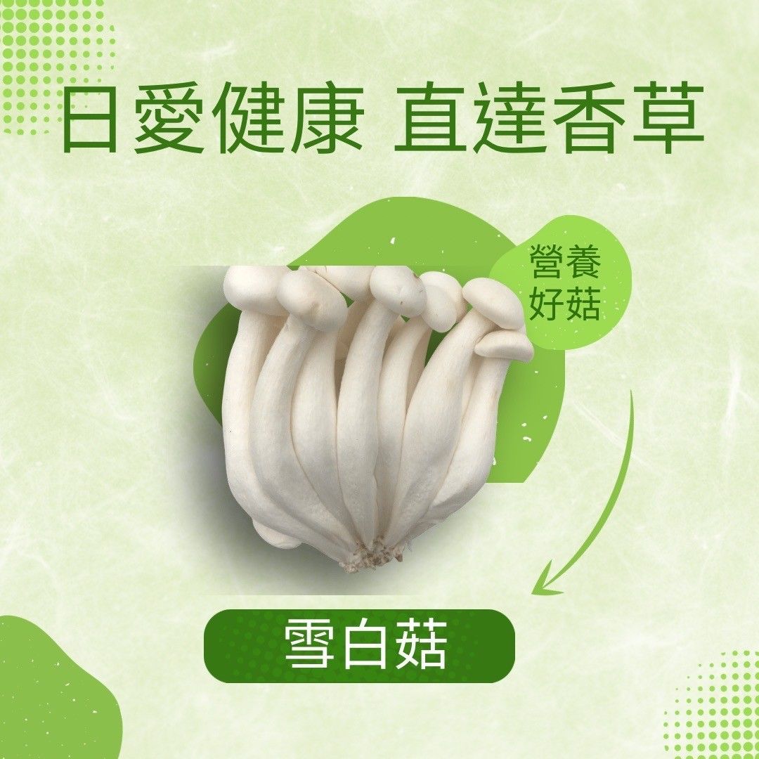 好菇道雪白菇 一包