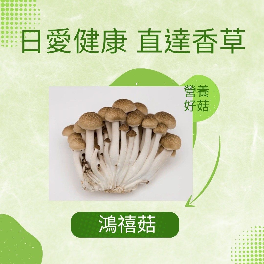 好菇道鴻禧菇黑一包