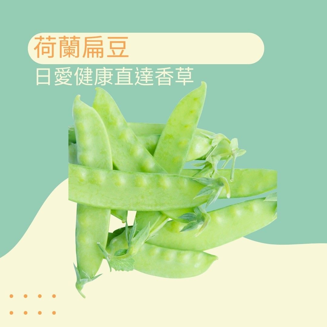 荷蘭扁豆300克