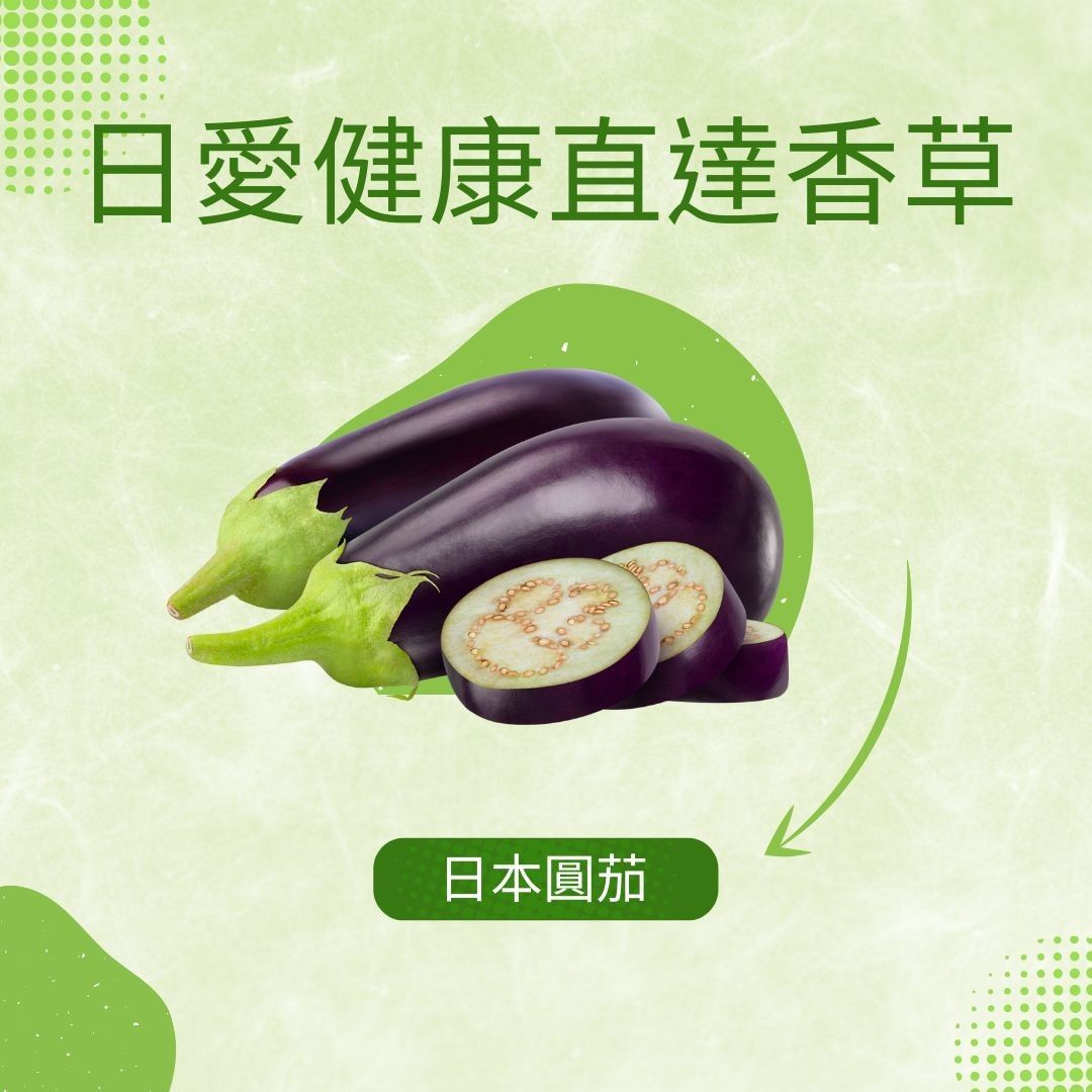 日本圓茄300克