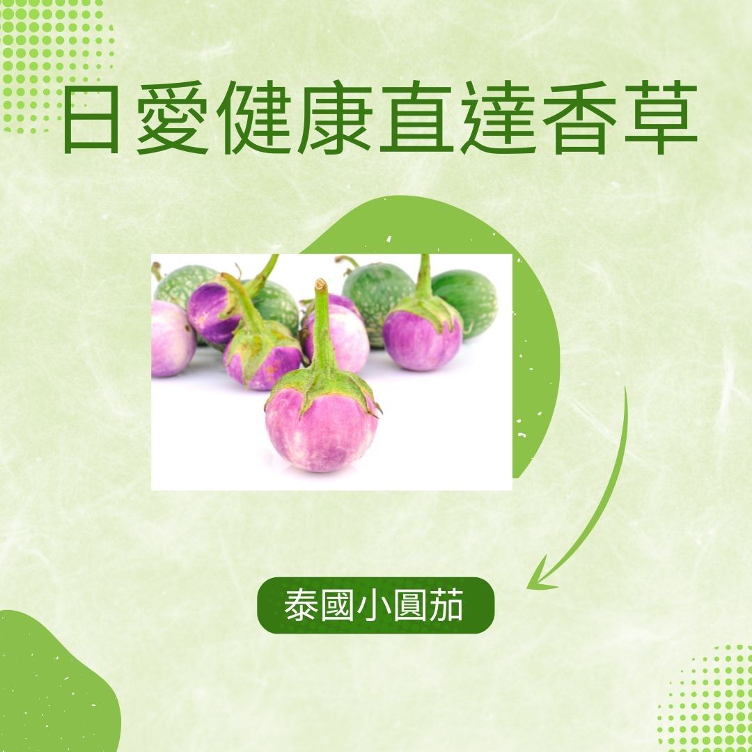 泰國小圓茄300克