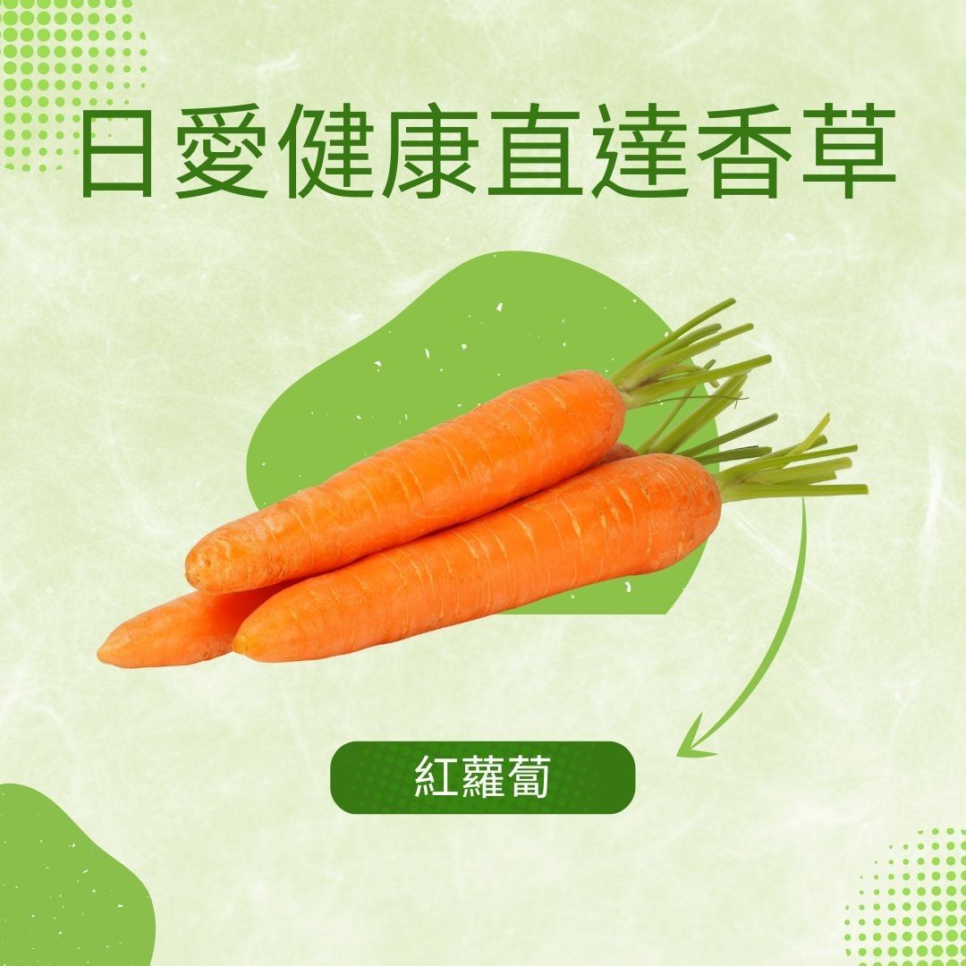 紅蘿蔔