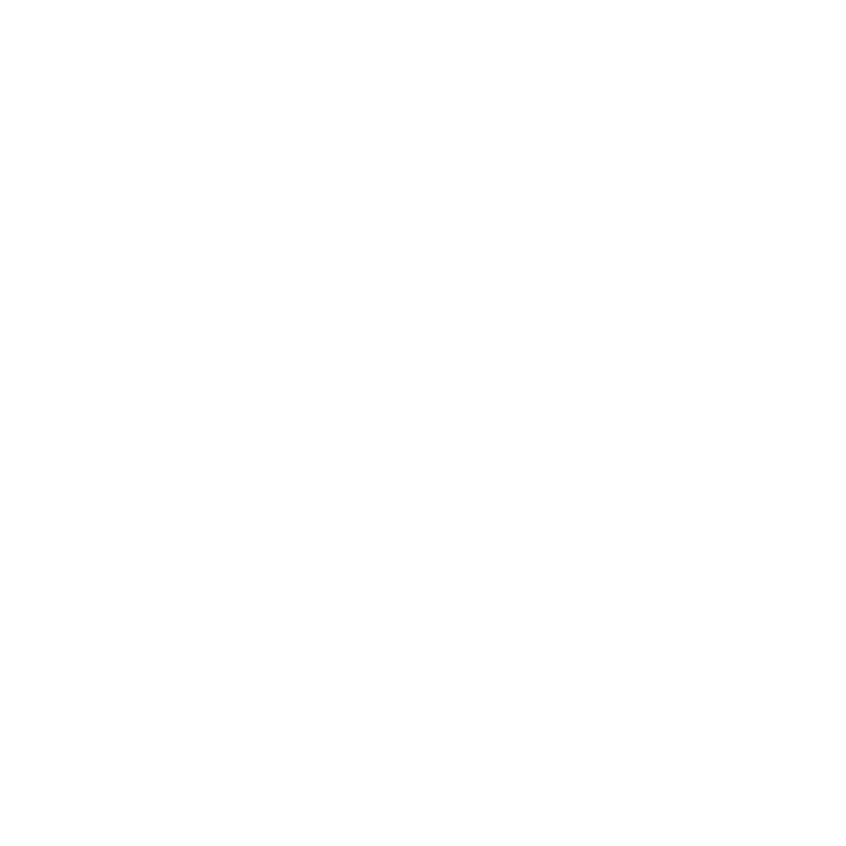 BlackRock Sport Ltd logo