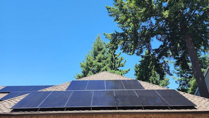 A roof with solar panels on it and trees in the background.
