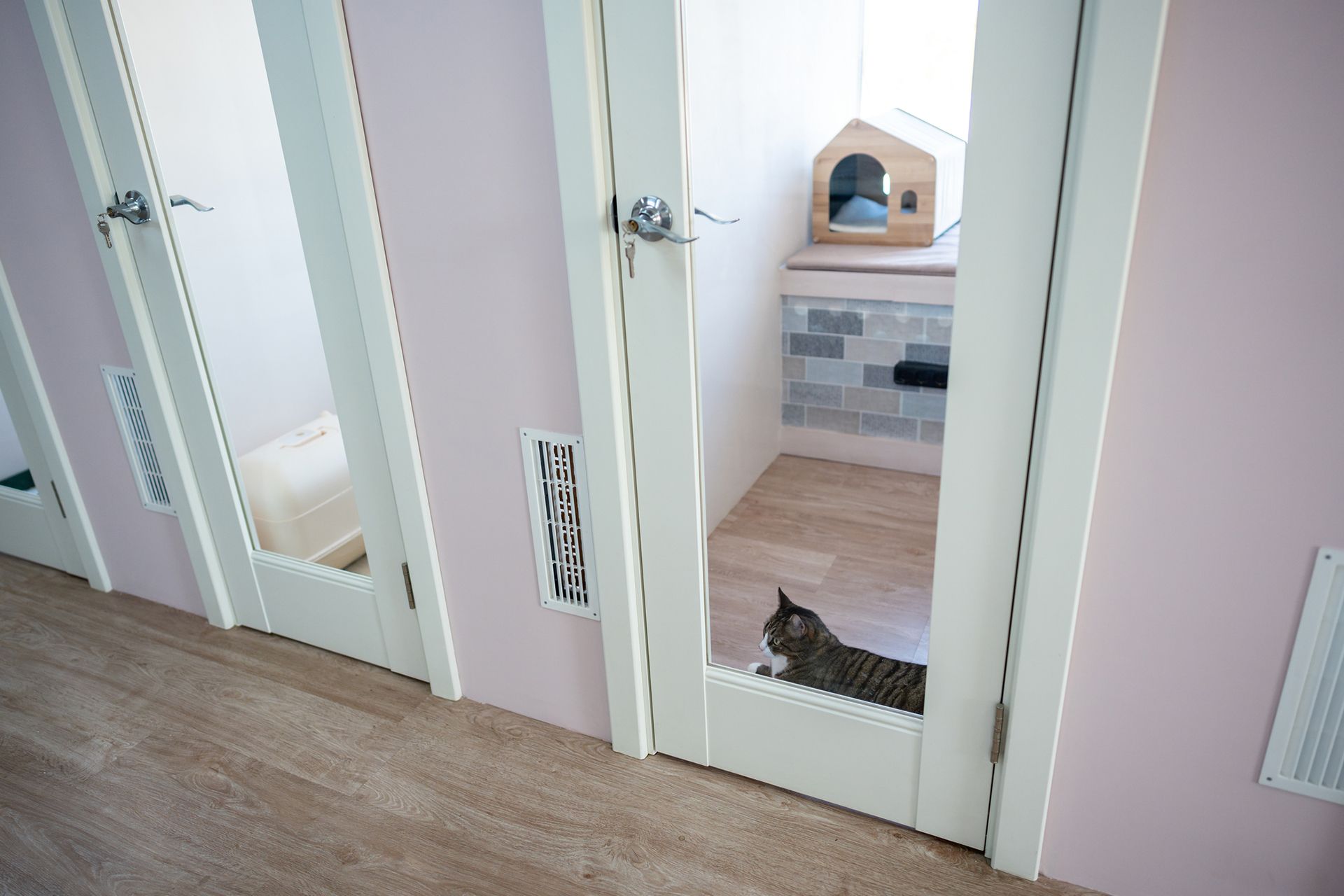 Indoor cat boarding facility with glass doors and a tabby cat inside a room with a small house