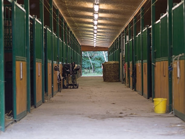 Interior of a stable with green and tan stalls lining a long corridor. Hay bale at the end with a glimpse of trees.