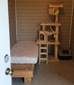 Cat room with bed, cat tree, and litter box. Brown walls and a light floor. Cat room with bed, cat tree, and litter box. Brown walls and a light floor.