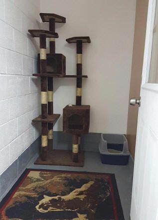 Cat tree with litter box