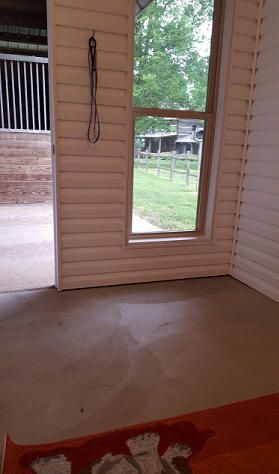 Horse stall interior with window