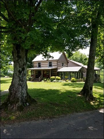 Log cabin nestled among large trees

