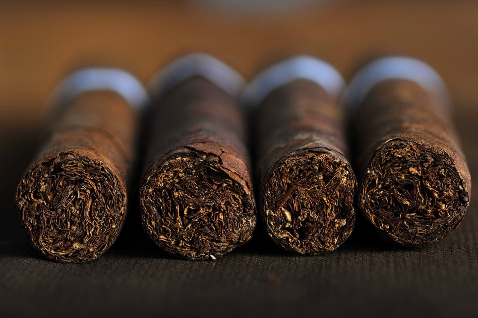 Cigar Shop in Chardon, OH