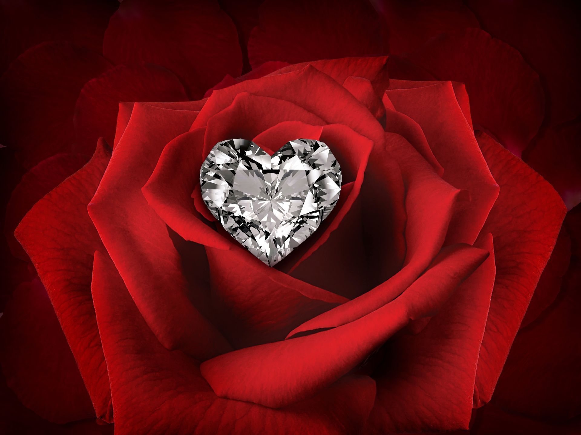 Diamant Herz Rose
