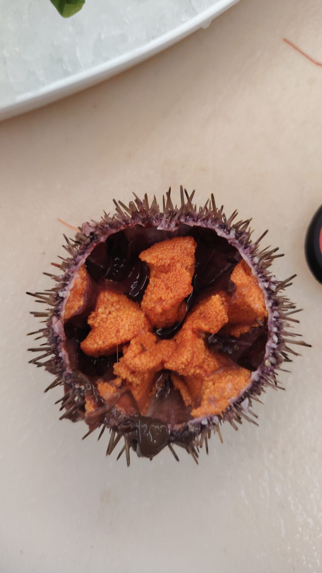 Riccio di mare aperto con interiora commestibili di colore arancione e scuro.