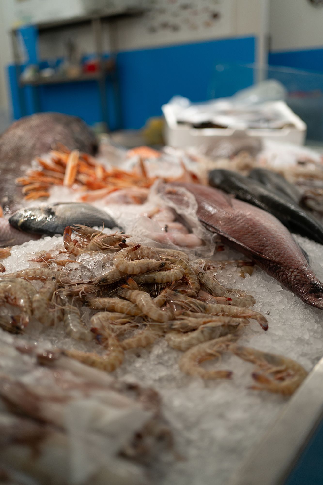 Esposizione di frutti di mare: vari pesci e crostacei freschi sul ghiaccio in un mercato.