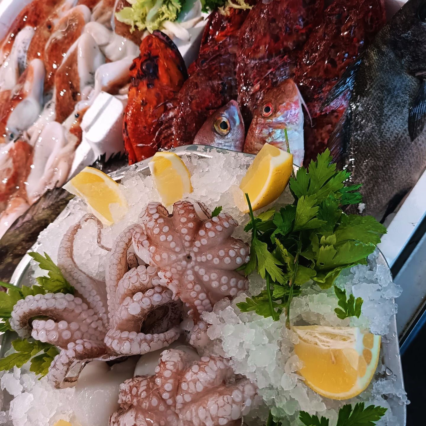 Esposizione di pesce fresco su ghiaccio, tra cui polpo, pesce e calamari, guarnito con limoni e prezzemolo.