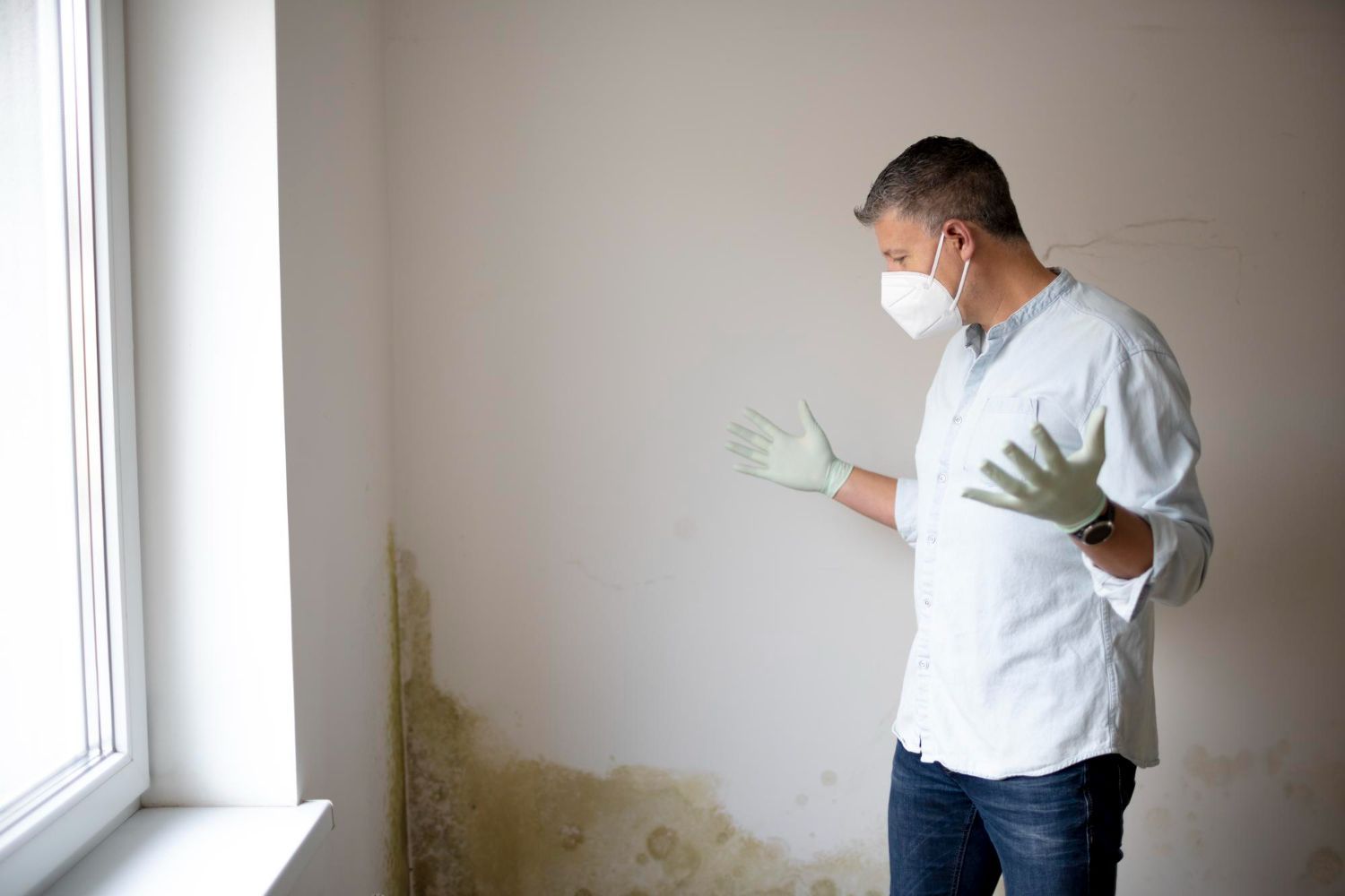 hidden mold