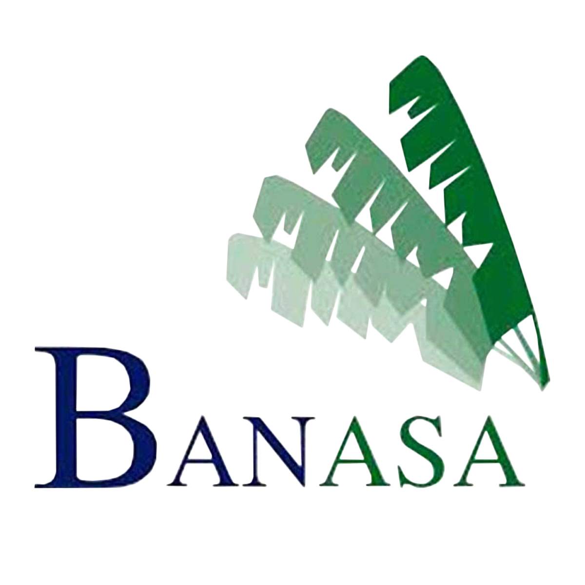 TECNI GROUP - maquinas para la agroindustria