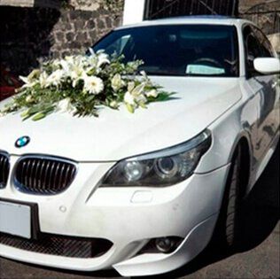 Transportes Terra Sumaq S.A.C, vehículos.