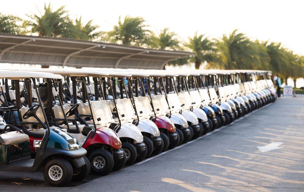 Row of parked golf carts under a covered shelter beside a palm-lined path