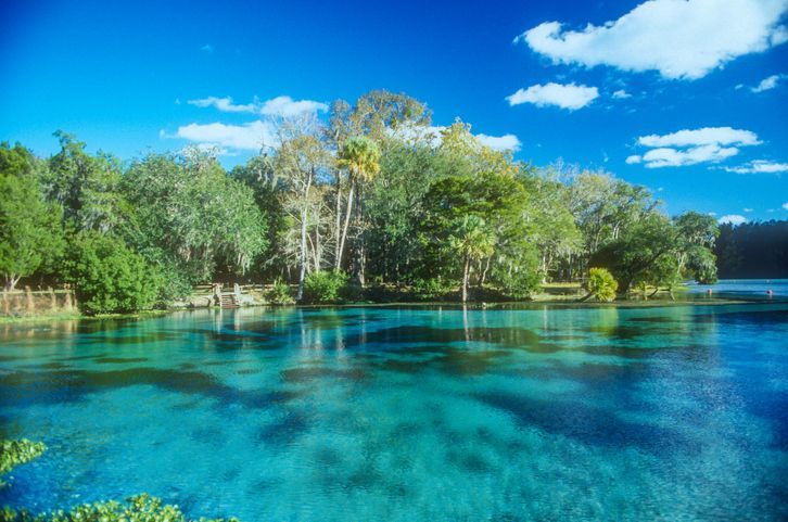 Tropical lagoon with clear turquoise water, lush green trees, and a bright blue sky with clouds