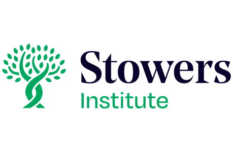 Stowers Institute logo featuring a green intertwined tree graphic next to the dark blue text "Stowers" and green "Institute".