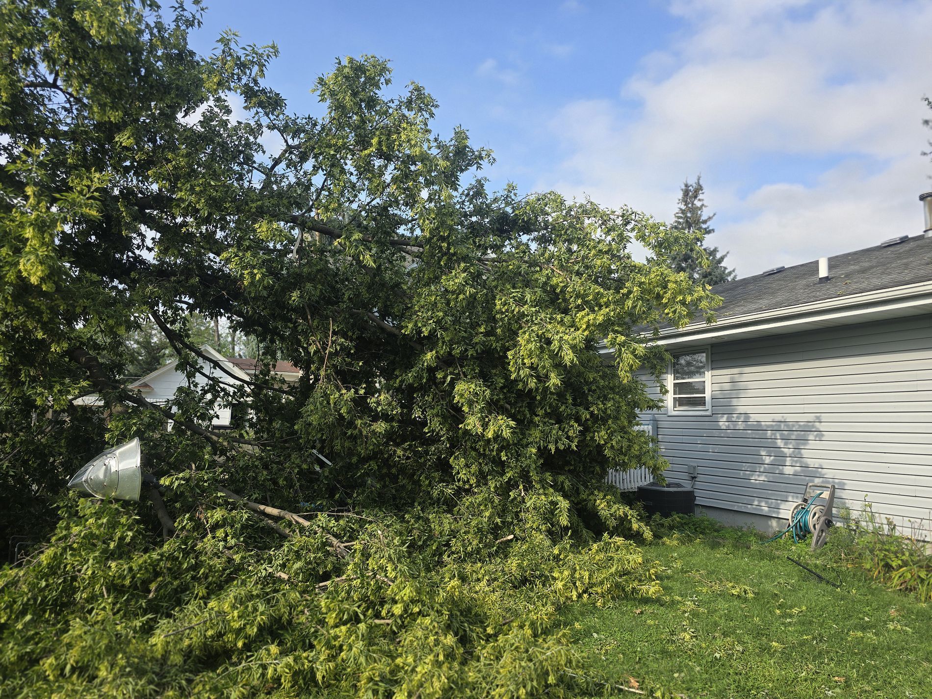 A large tree has fallen against the side of a house on a sunny day.