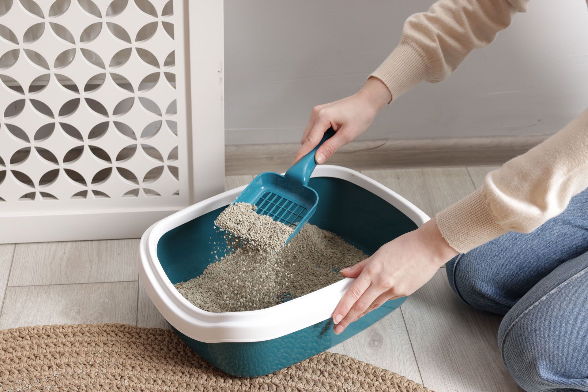 Cat Litter Exchange