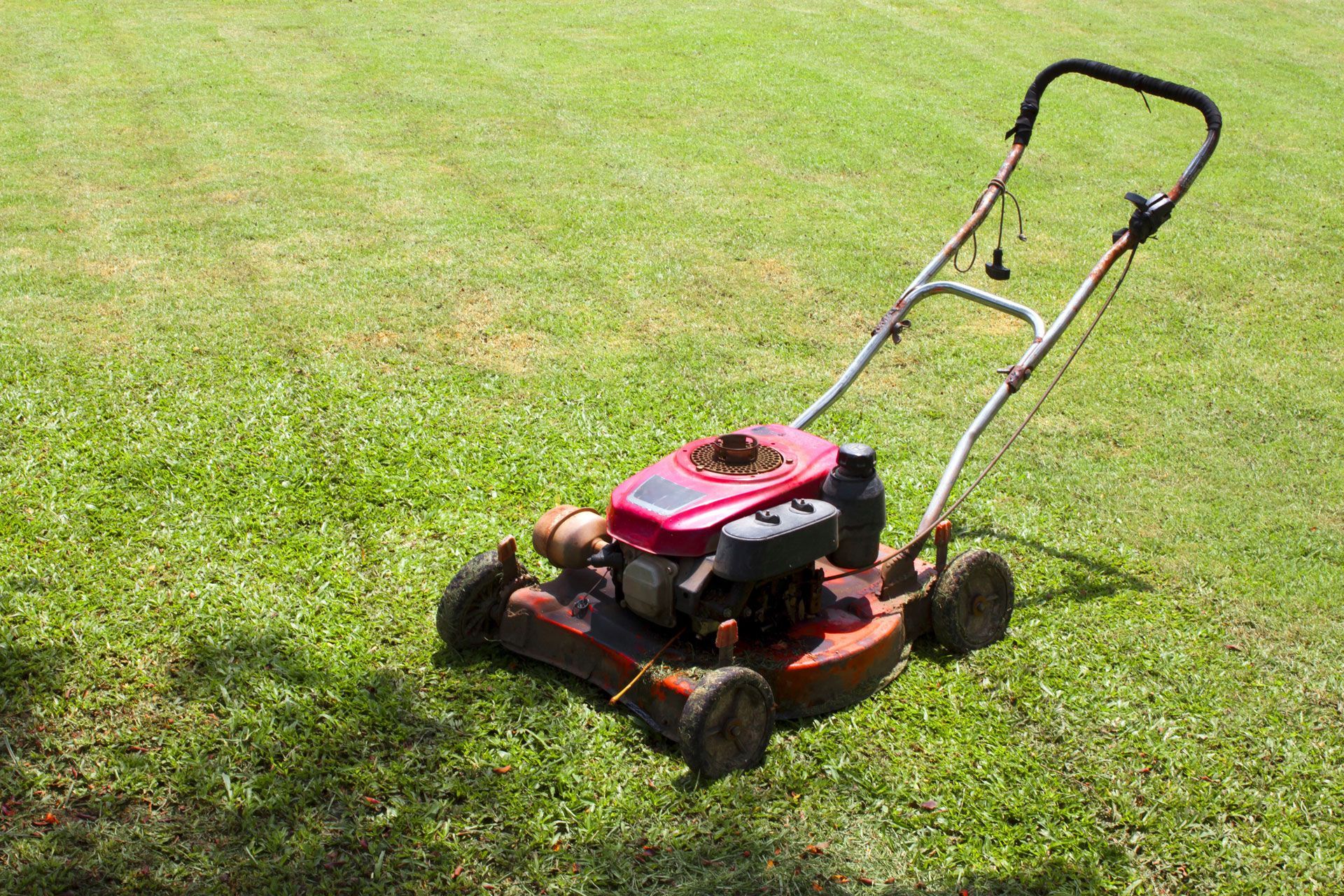 Turf Cleaning