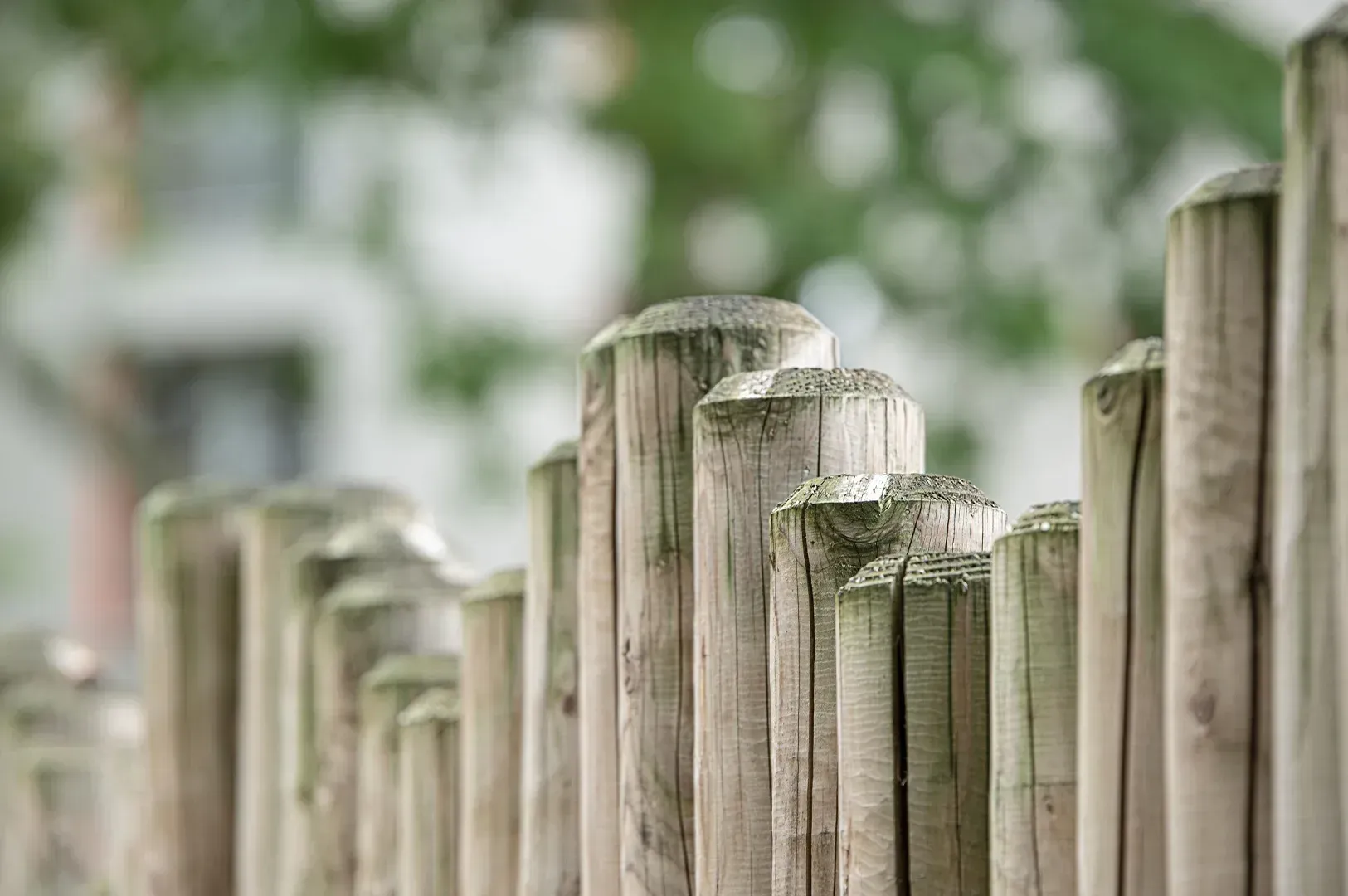 A close-up, low-angle shot of a sturdy wooden fence, symbolizing the steady, reliable nature of setting firm personal boundaries.