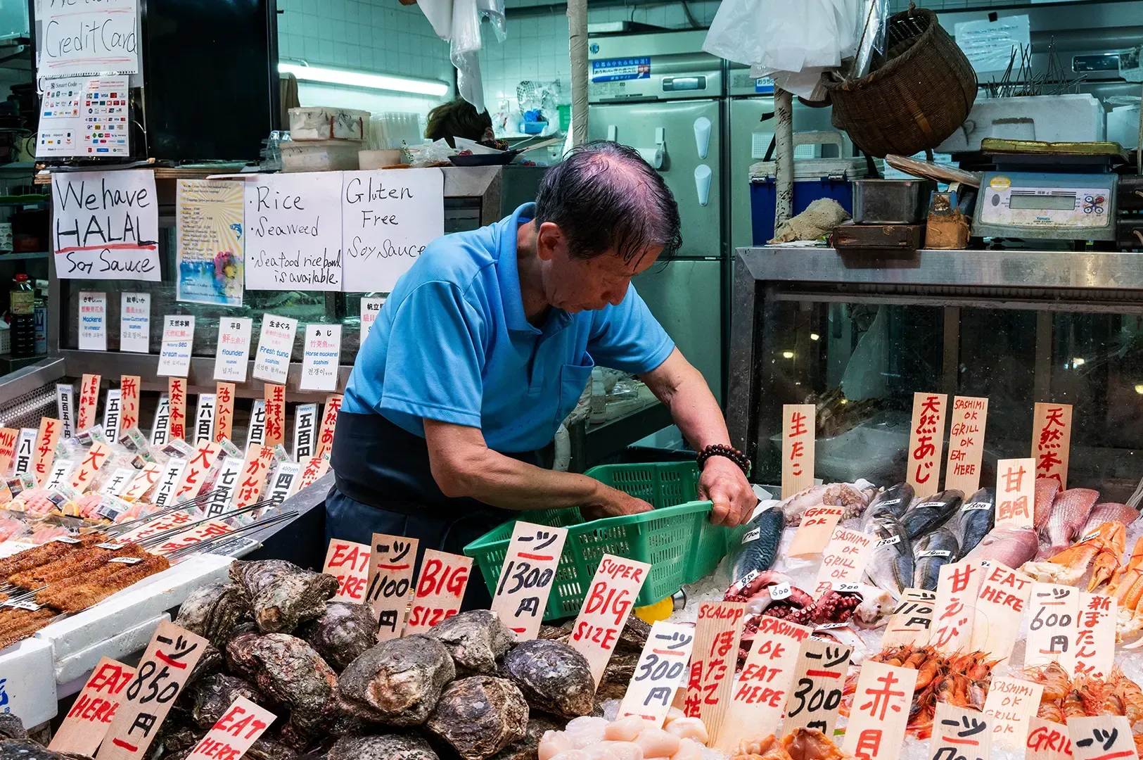A dedicated fishmonger at a market stall organizing his selection of fresh seafood, highlighting the master of craft whose daily expertise creates a bridge for global culinary literacy.