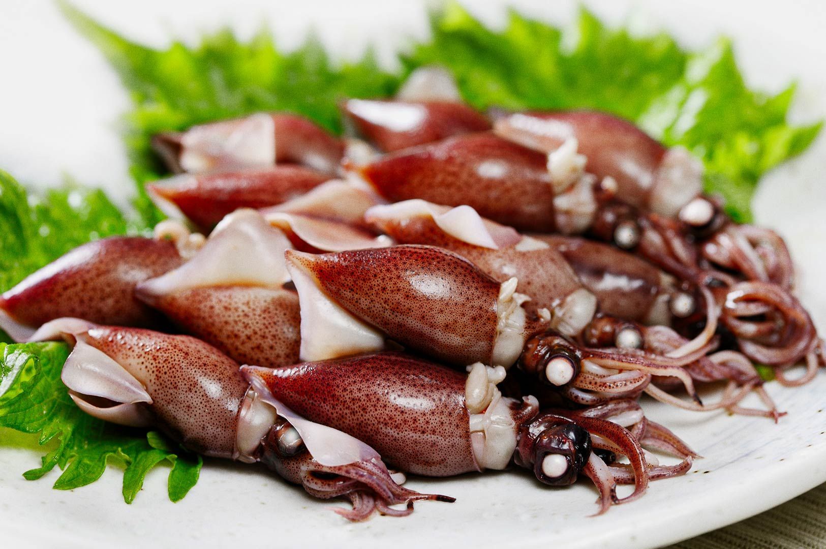 Fresh plate of raw hotaru ika (firefly squid) arranged on green shiso leaves, highlighting the seafood’s glossy texture on a white serving dish.