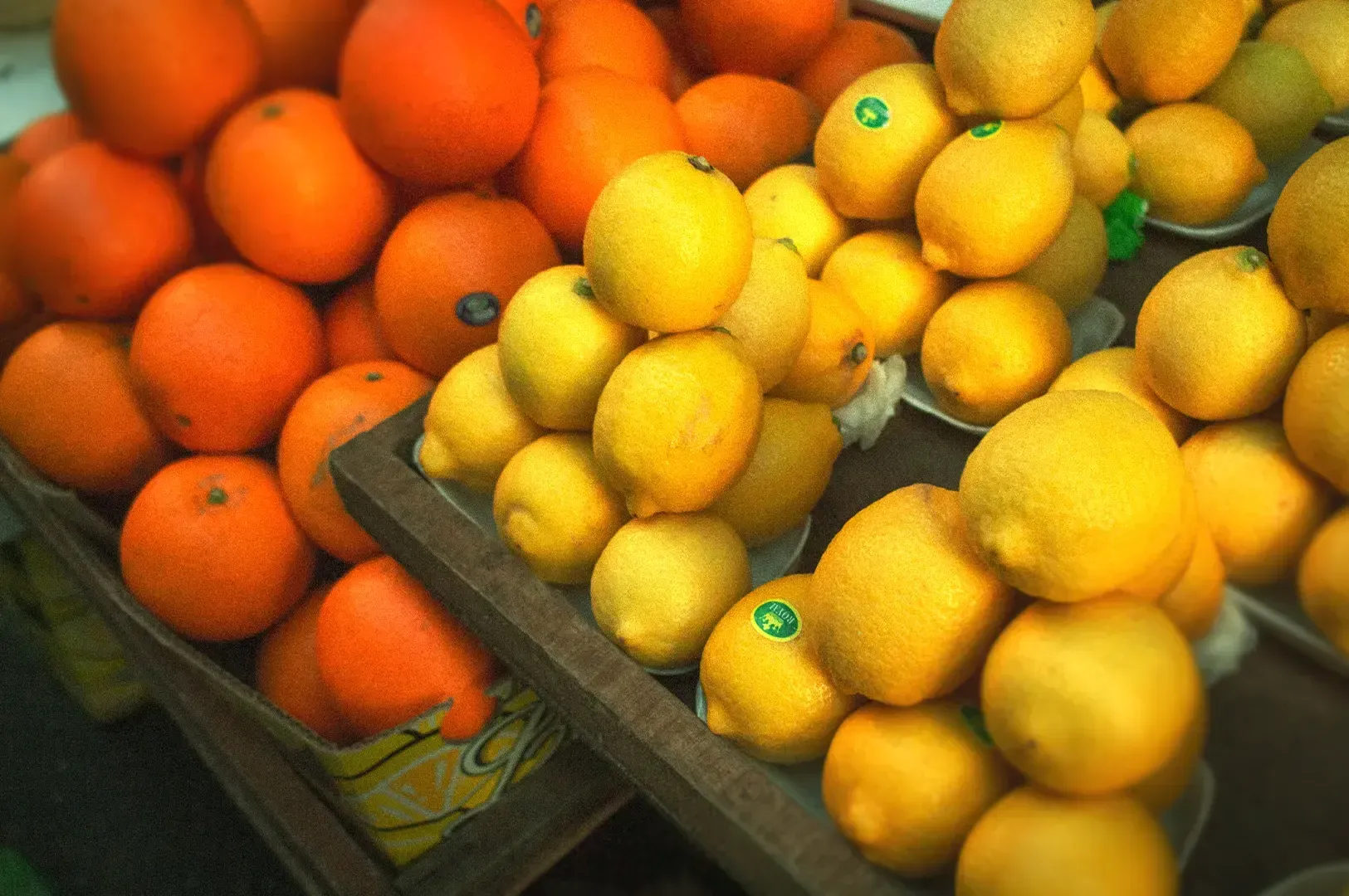 A vibrant, neatly arranged display of fresh oranges and lemons at a local market, symbolizing the simple, repeated choices of vendors that help sustain cultural traditions and local food systems.
