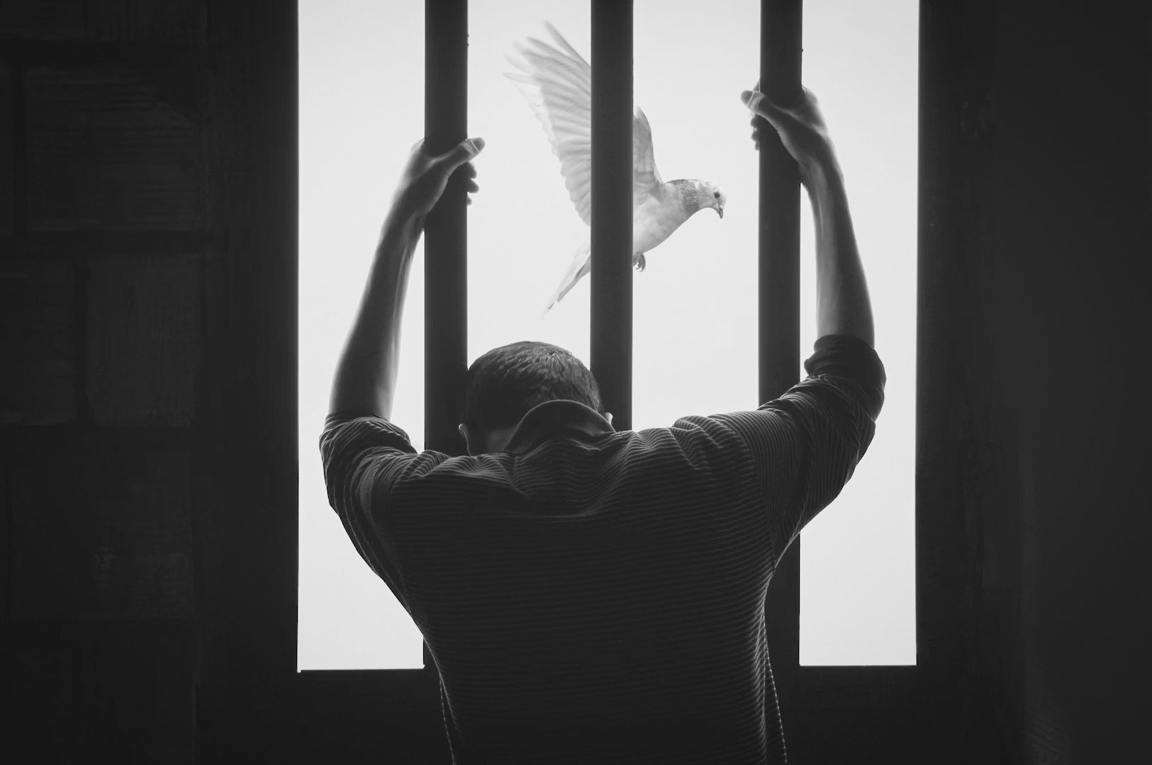 Silhouetted figure gripping vertical window bars while a bird flies outside, symbolizing longing and freedom.