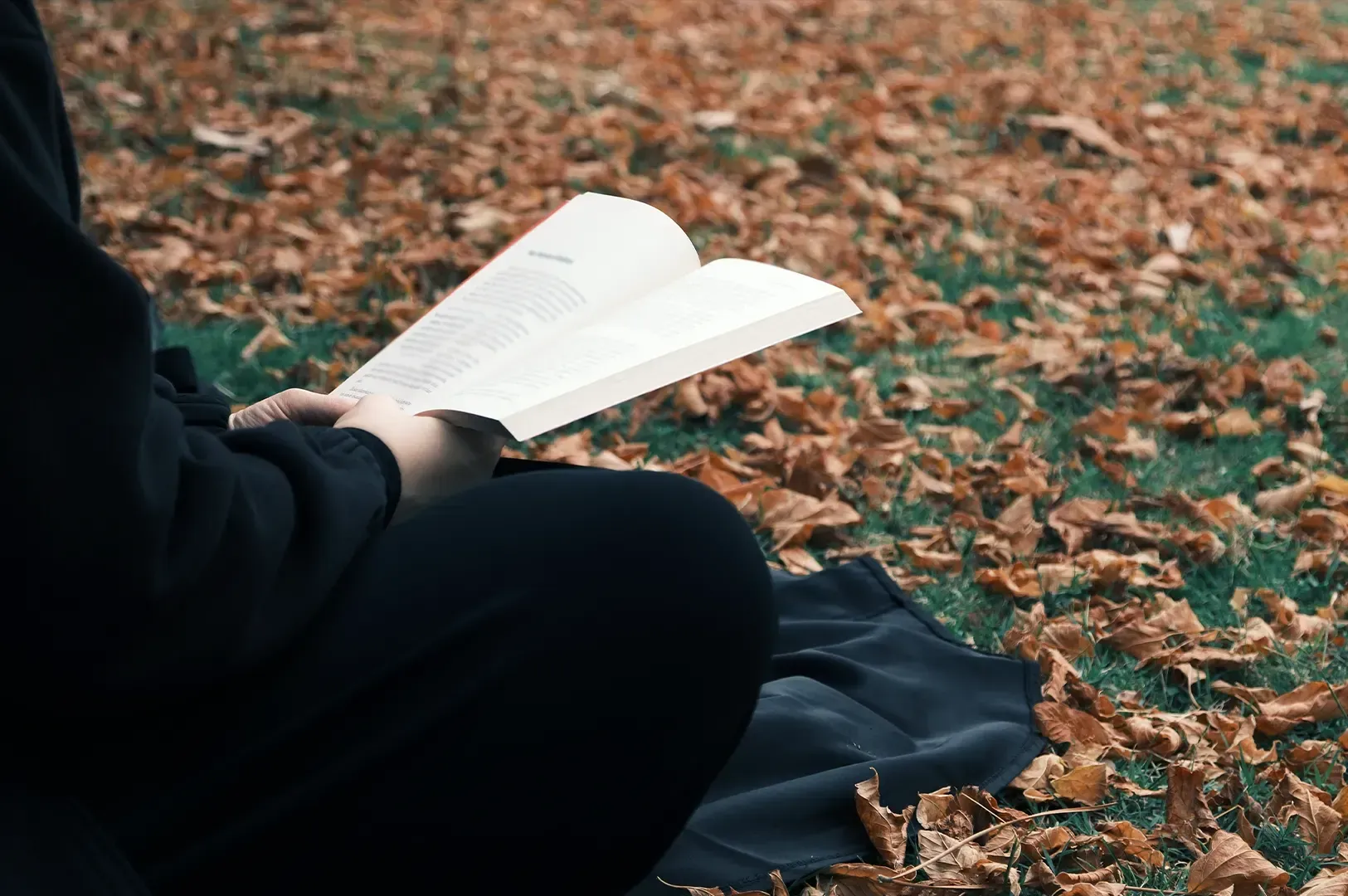 A candid moment of a person sitting on a ground covered in autumn leaves while reading a book, embodying the themes of attention and