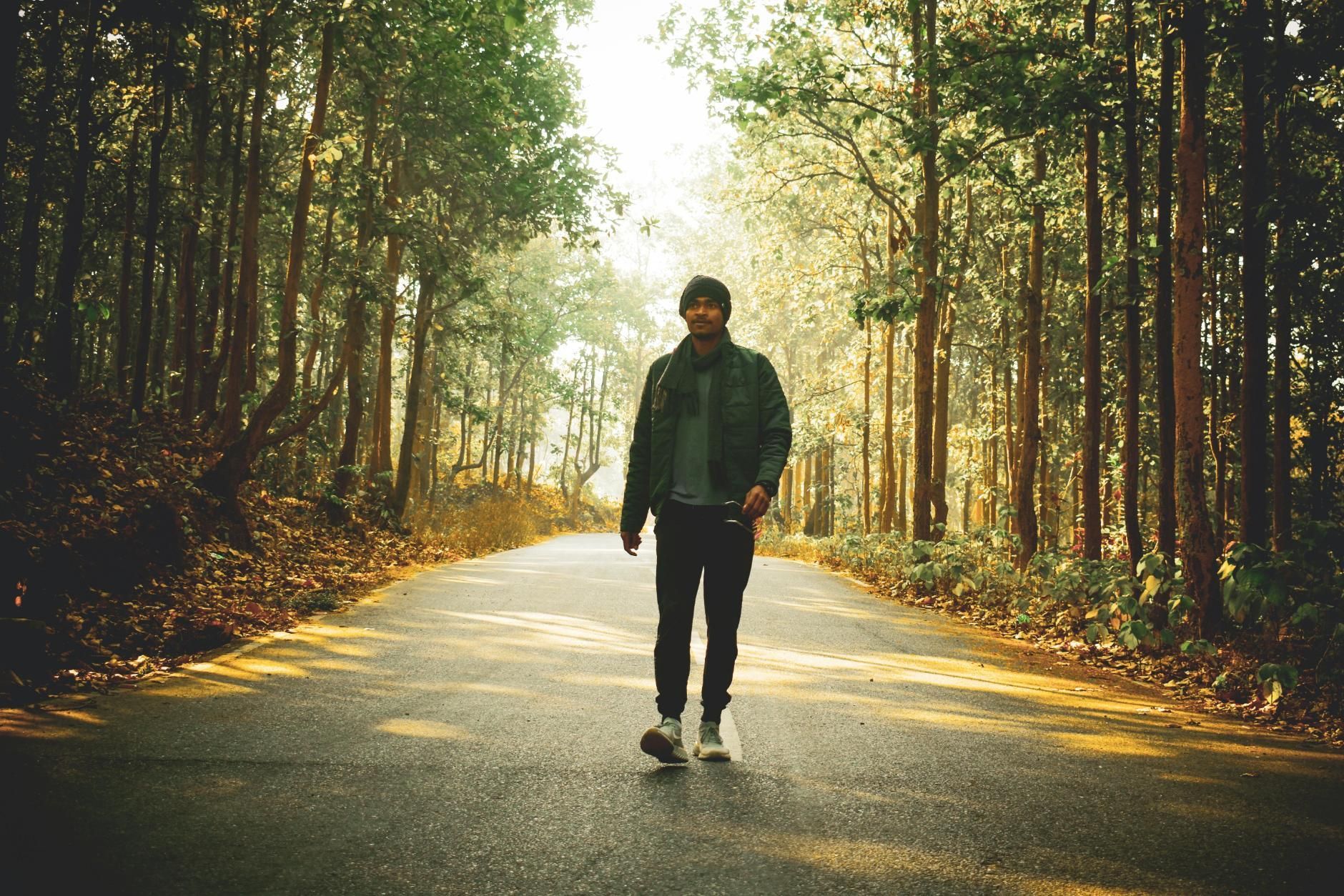 A man dressed in a dark jacket and beanie walks down the center of a paved road bordered by a dense forest of tall trees. The scene is bathed in warm, filtered sunlight that glows through the foliage, creating a serene and atmospheric setting.