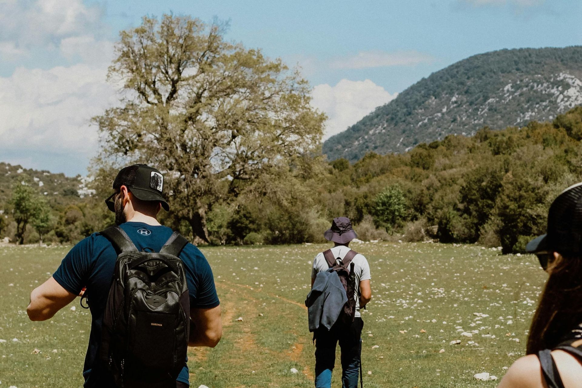 Three hikers wearing backpacks are seen from behind, walking across a sunny, grassy meadow scattered with small white stones. They head past a large, sprawling tree toward a lush, forested mountain slope under a bright blue sky.