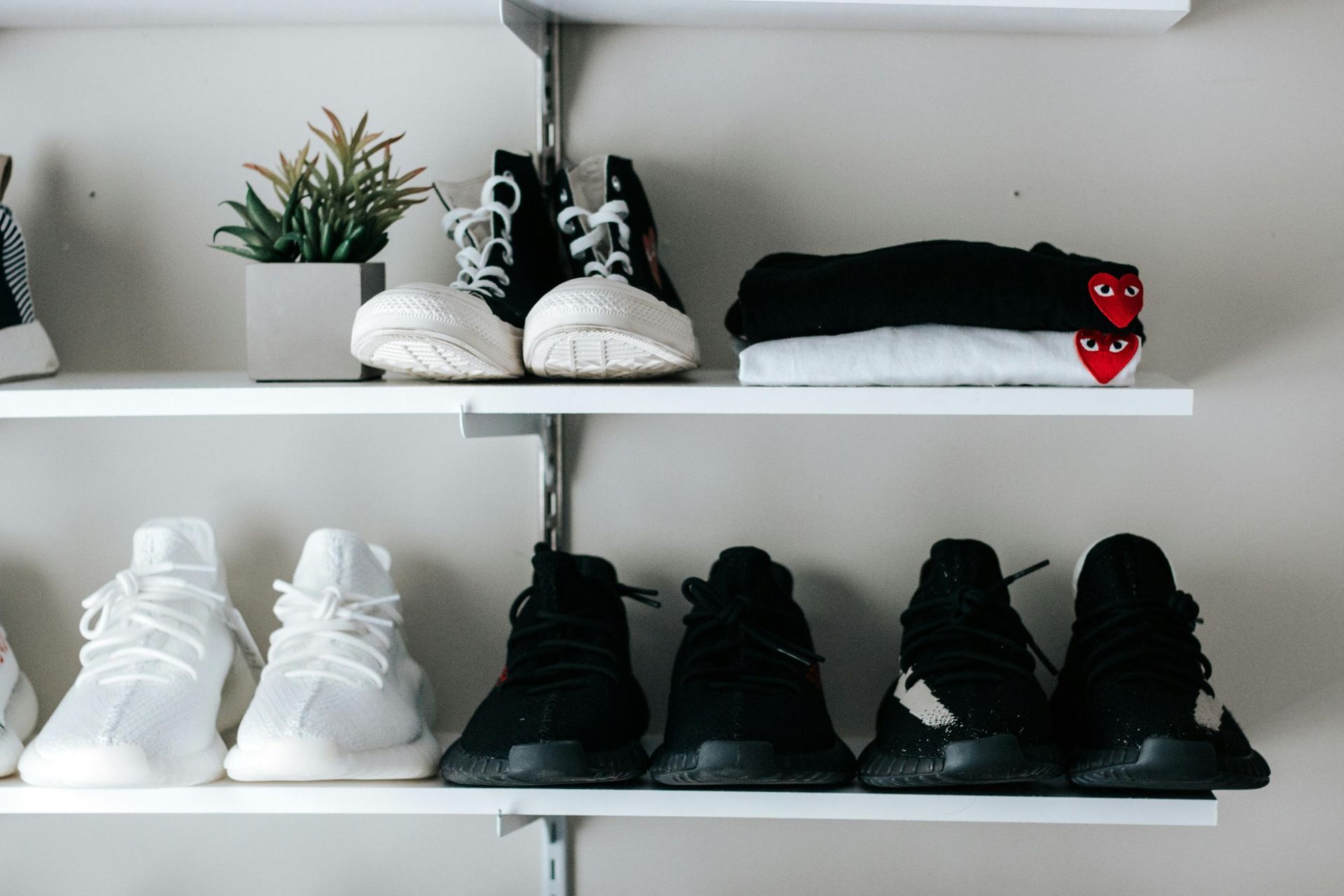 This image shows two white shelves neatly organized with several pairs of designer sneakers, including Converse high-tops and multiple colorways of Adidas Yeezy Boost 350 V2s. Next to the footwear, a small potted succulent and a folded stack of Comme des Garçons Play t-shirts featuring the iconic heart logo add a touch of lifestyle aesthetic to the collection.