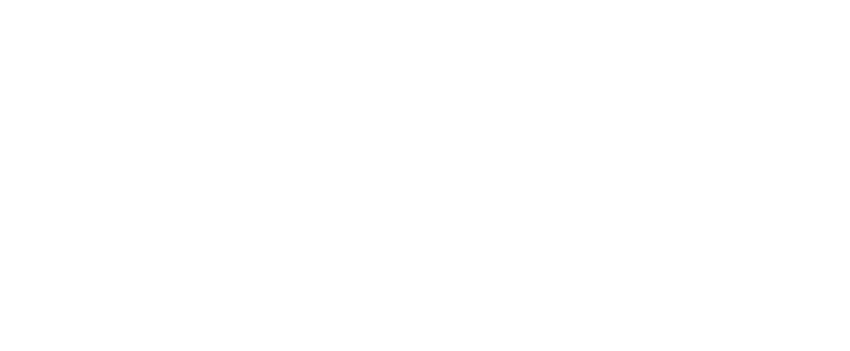 The Deal Company Logo