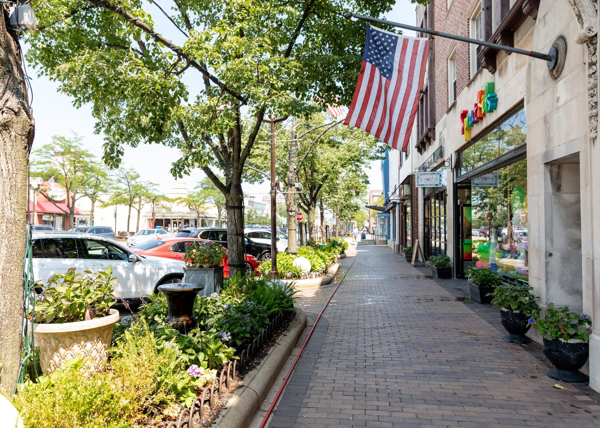 Aerial view of a quiet, tree-lined residential street with single-family houses and parked cars on a sunny day.