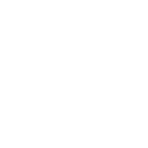 The word lifetime is written in black on a white background.