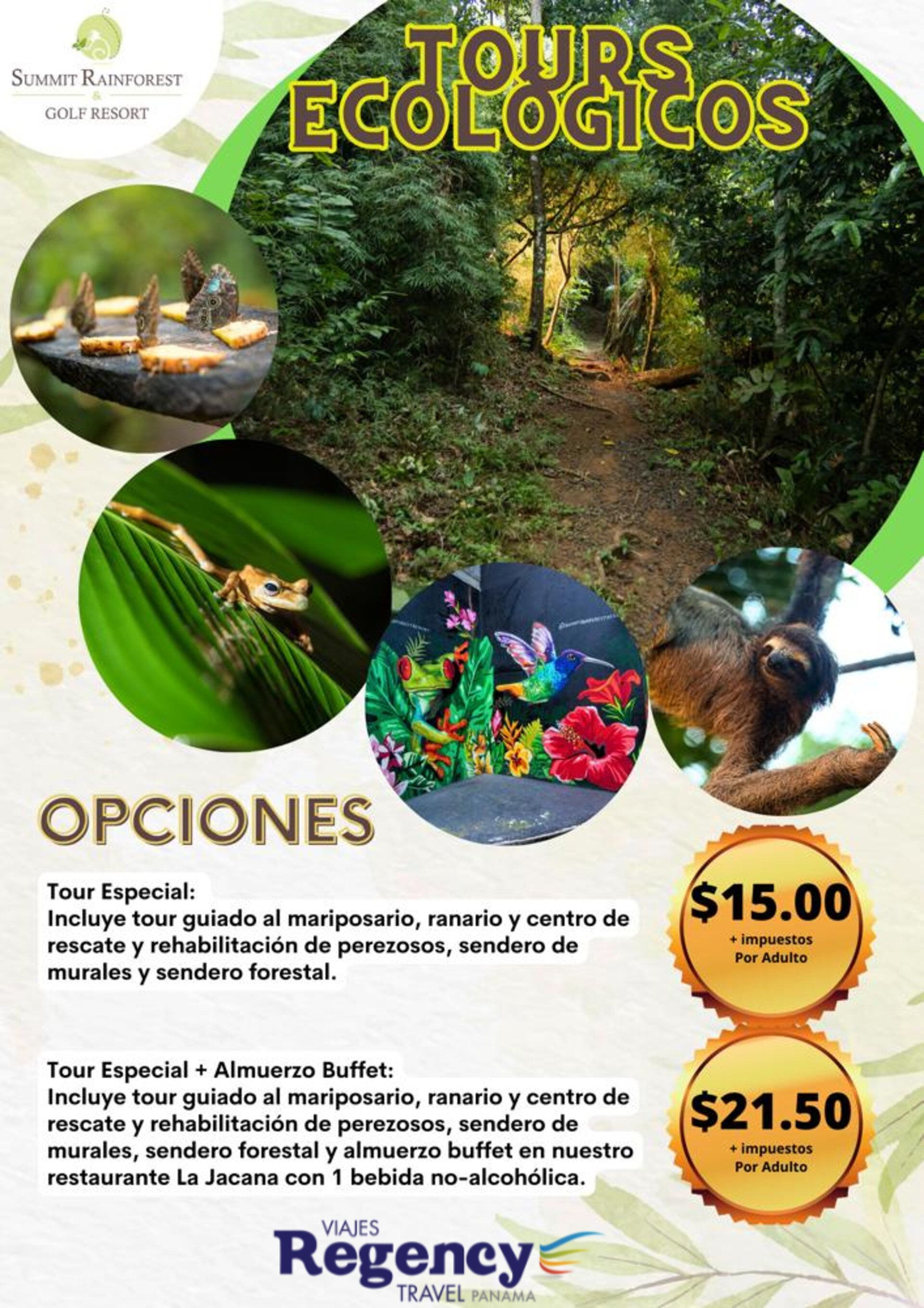 Un cartel para tours ecológicos con un perezoso, ranas, flores y arboles.