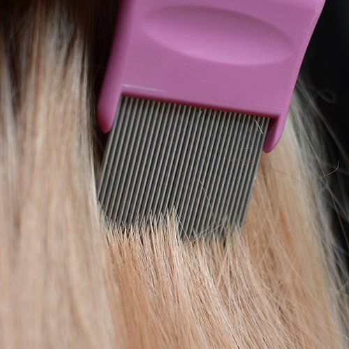 Combing Hair with a Lice Comb — Birmingham, AL — Lice Clinics of Birmingham